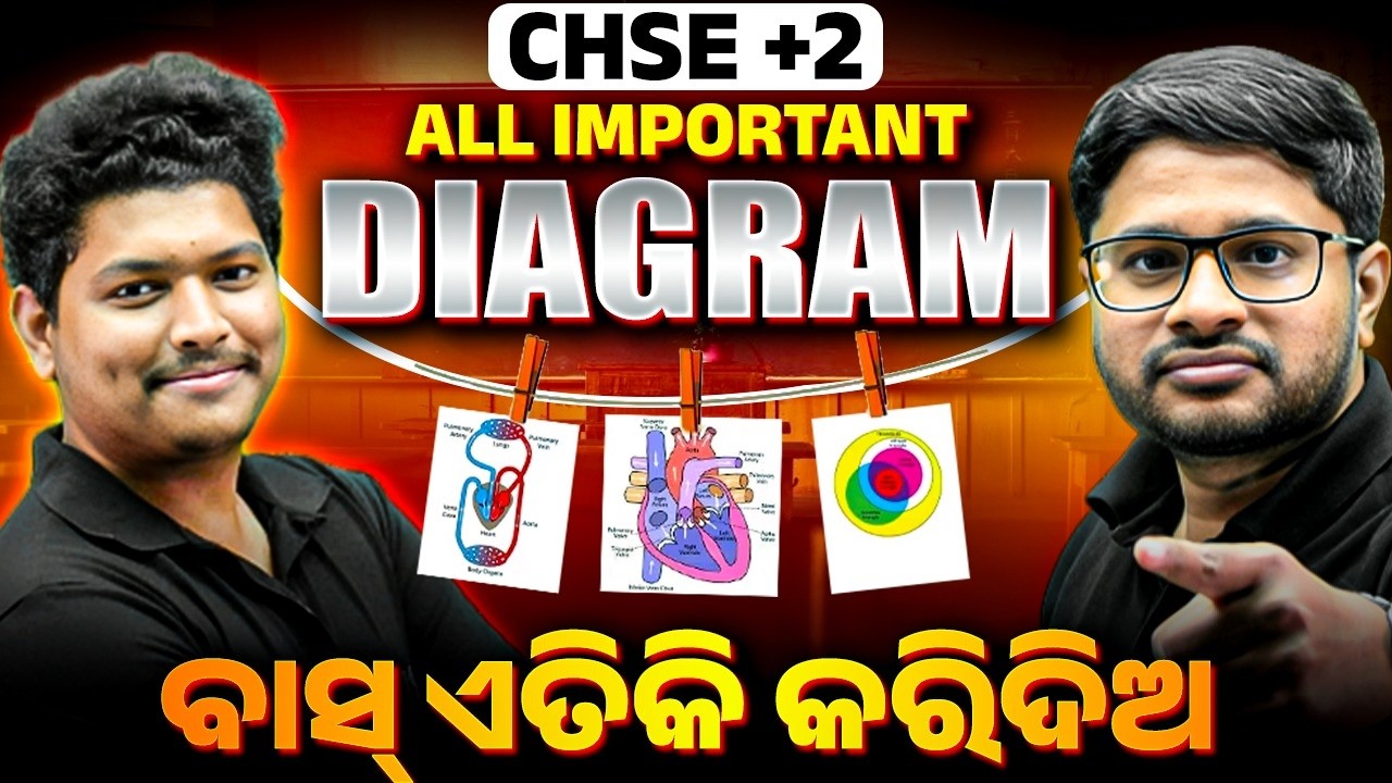 Biology MOST IMPORTANT DIAGRAMS for CHSE Class 12 🔥 +2 2nd Year Board Exam 2026