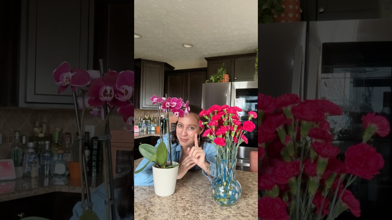 So you just got an orchid? #orchidcare #orchidplant