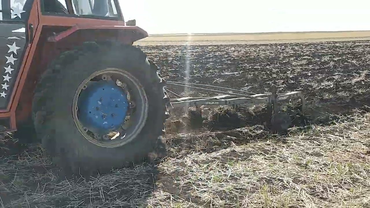 Massey Ferguson 174 İtalyan Aygırı Tarla Sürümünde