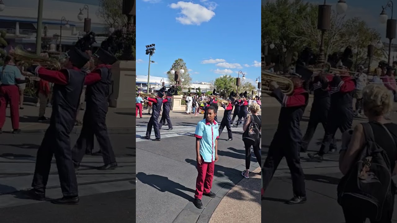 Magna vista MARCHING WARRIORS 2026 Disney 