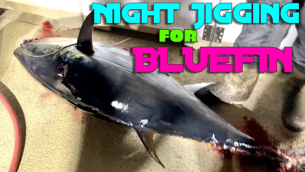 Ночная джиговая ловля на BLUEFIN [Часть 1]