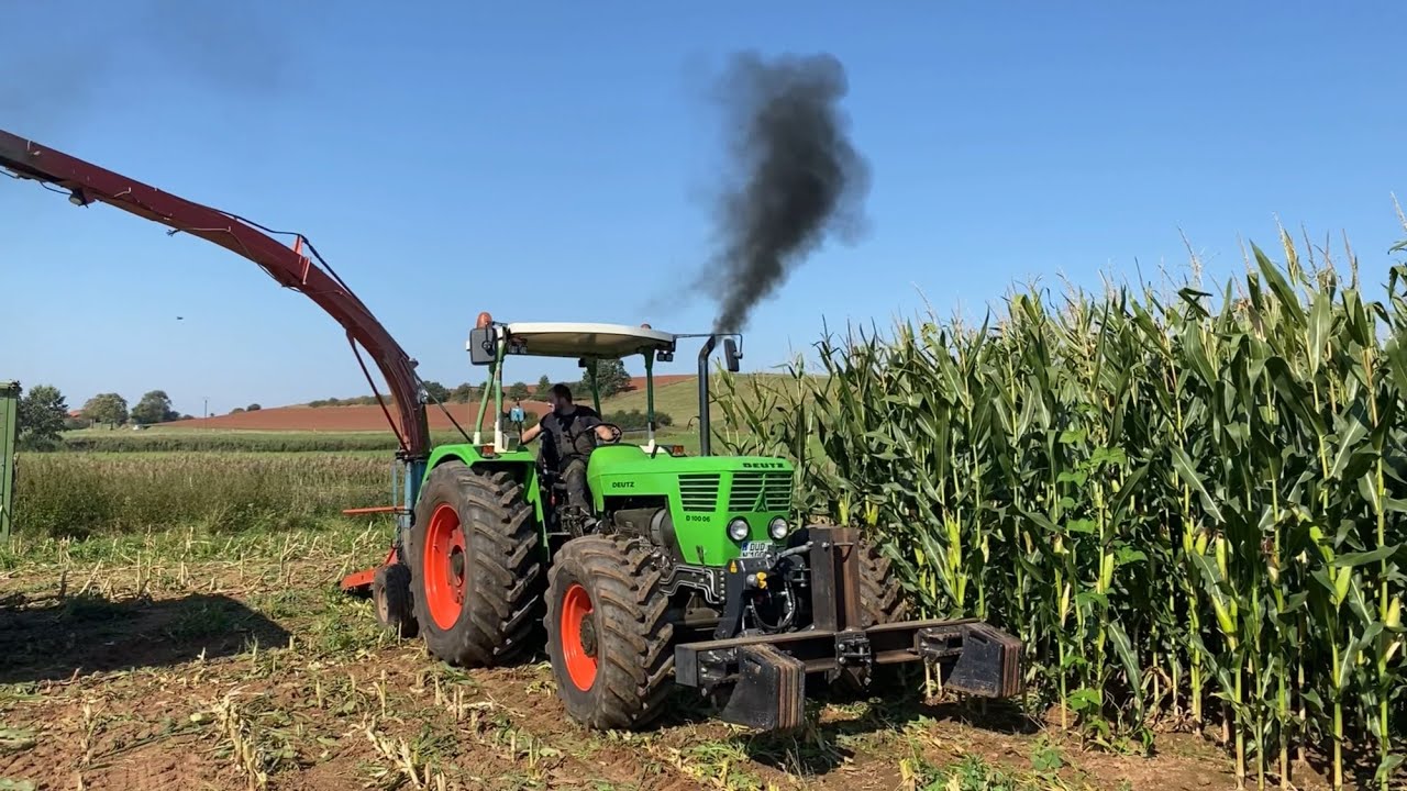 Deutz D10006 Turbo SOUND, Deutz D6006 & Case IHC Maxxum 5130 Mais häckseln 2024  Oldtimerhäckseln🌽🔊