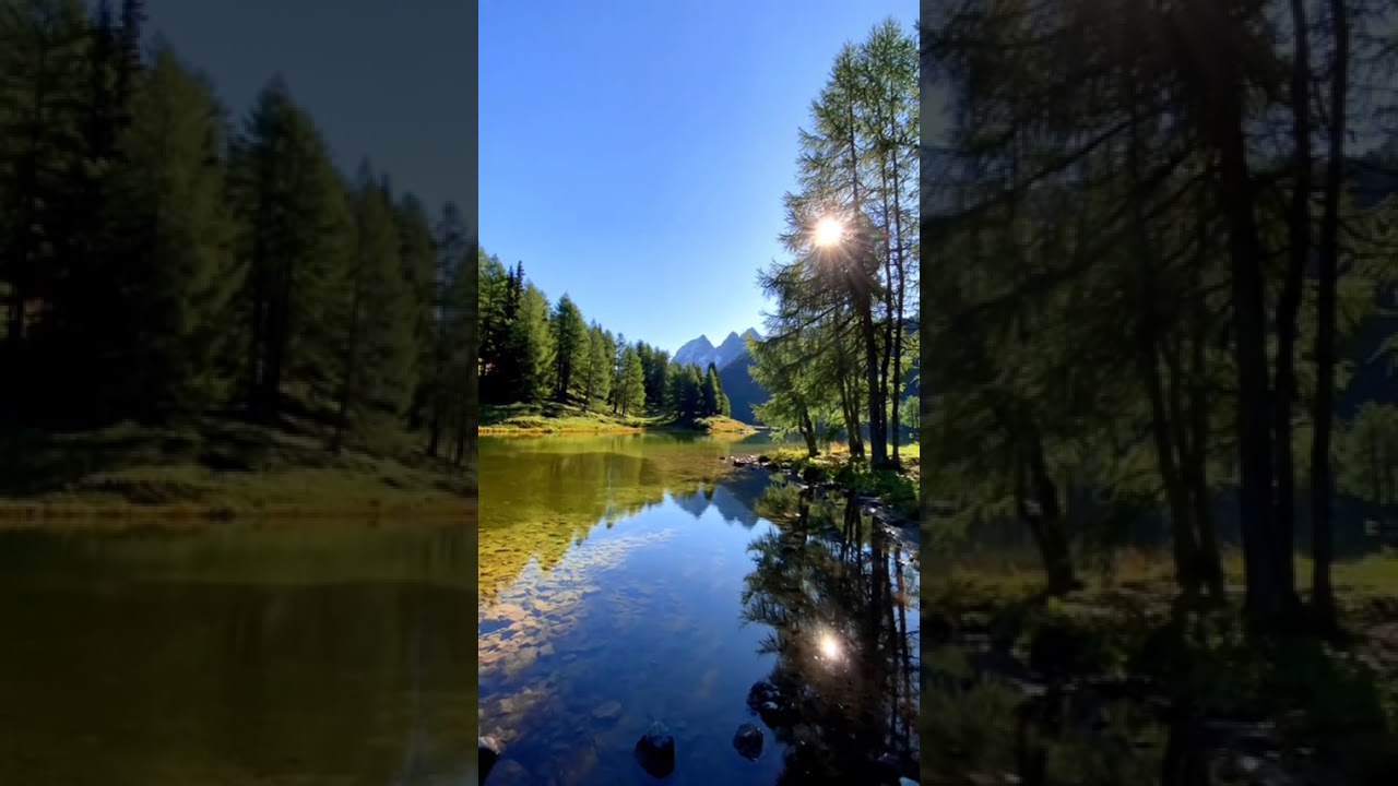 Beni bana bırakın 