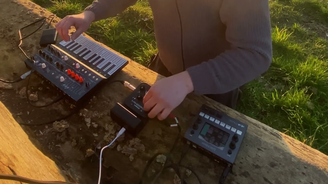 1010 Blackbox & Arturia Microfreak Outdoor Jam (Ambient Jungle Techno)