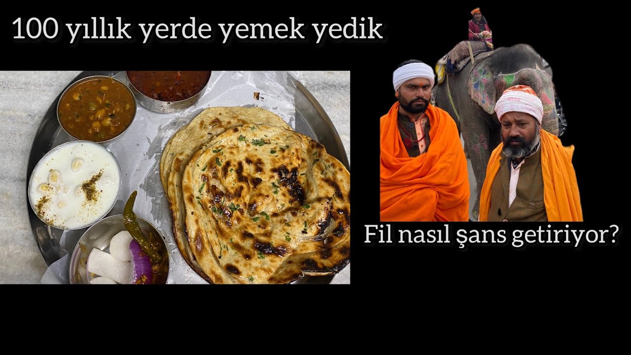 Hindistan’da yürürken karşınıza bir fil çıkabilir | 100 yıllık Kesar da dhabbaya gittik | Amritsar