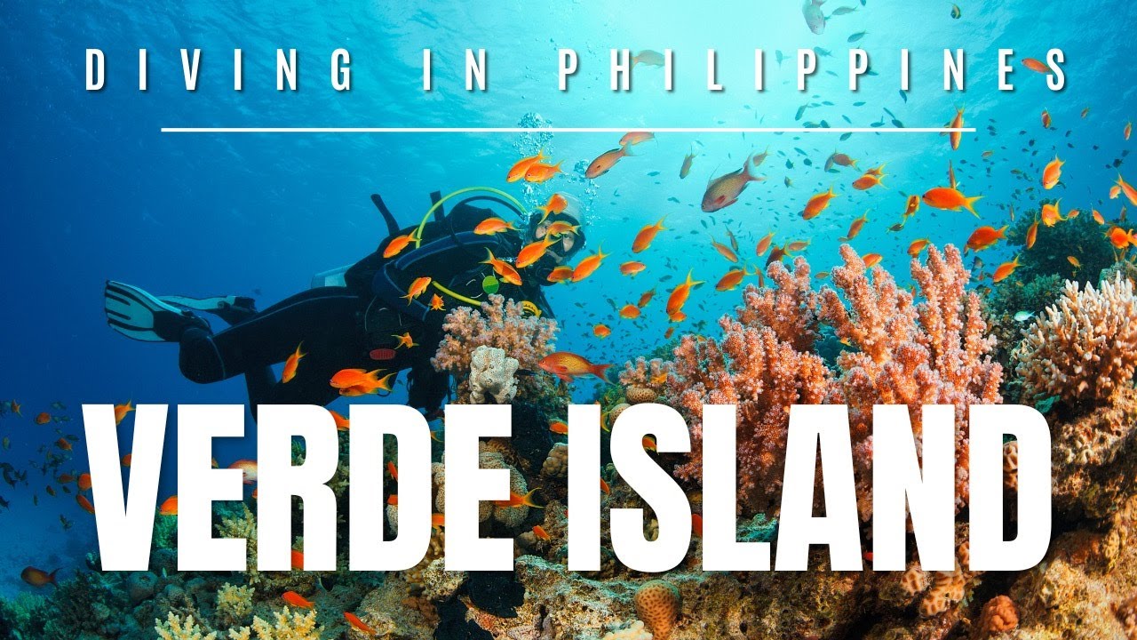 🐠 DIVING IN VERDE ISLAND | Puerto Galera, Philippines