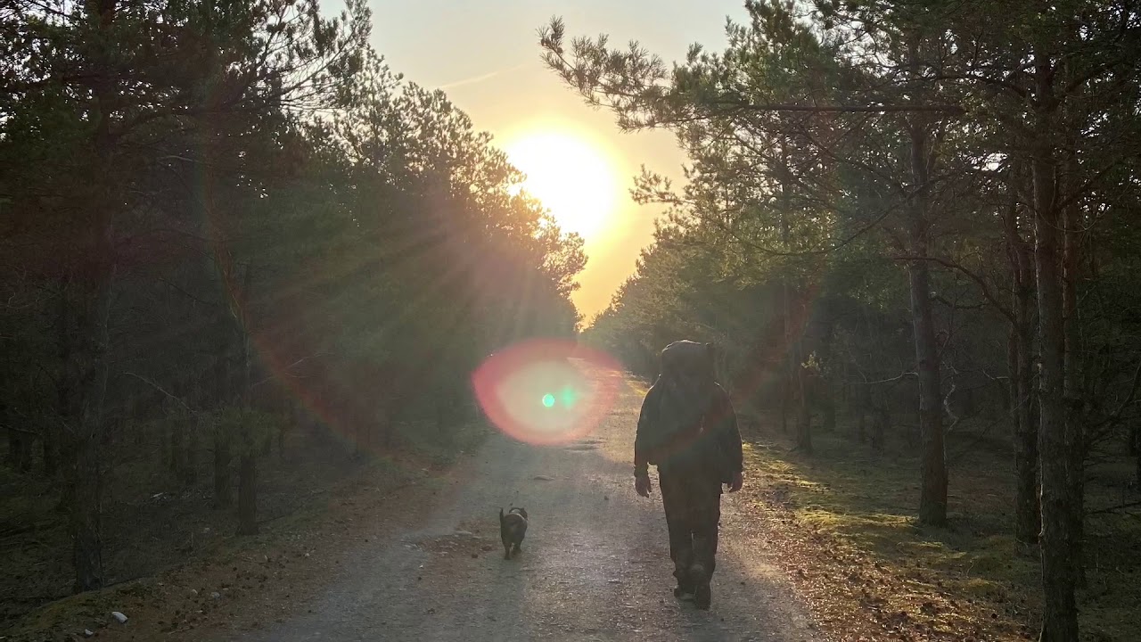 Walk through Saaremaa 2020
