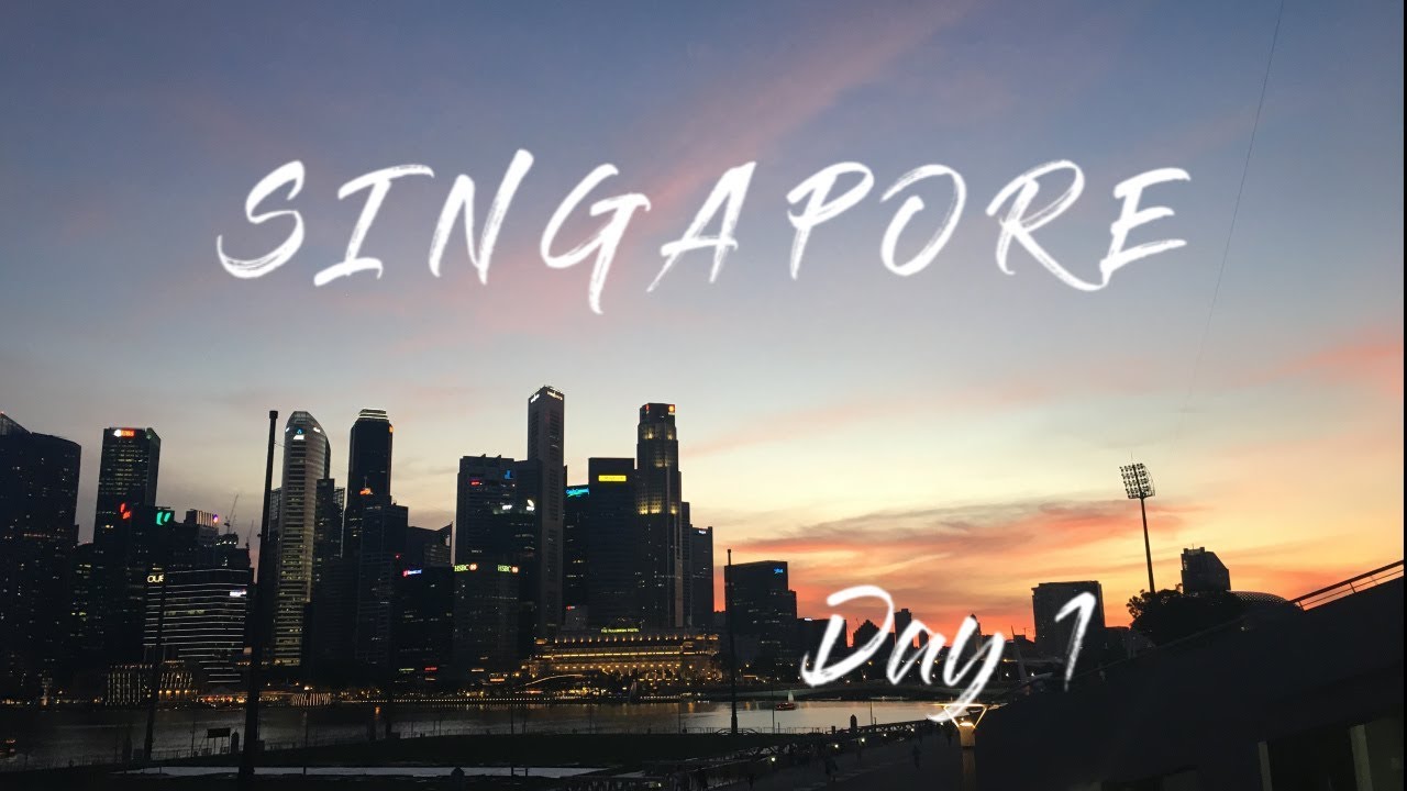 【新加坡】自由行 Day 1 | 小印度、松發肉骨茶、濱海灣魚尾獅、金沙燈光水舞秀
