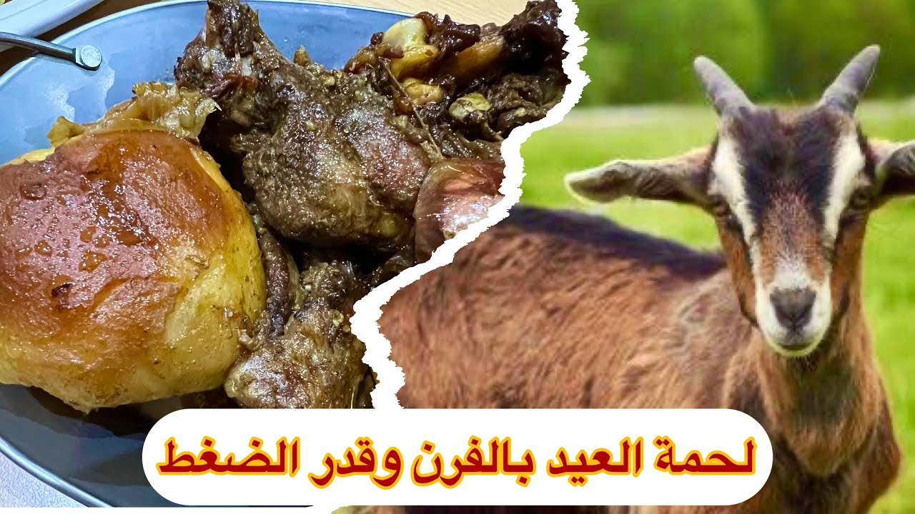 حنيذ الحم اليمني بالفرن وقدر الضغط افضل طبخة للحمة العيد او العزومات حاجة تبيض الوجه