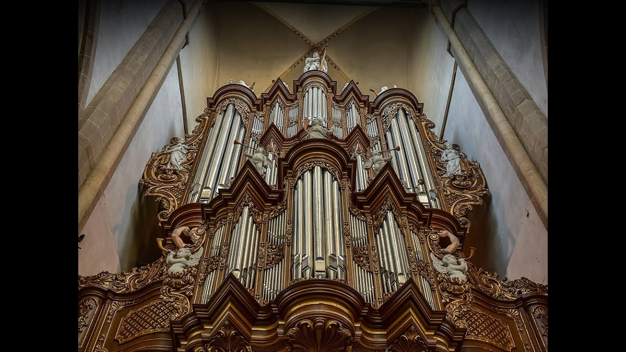 Koraalbewerking over Ik bouw op U Hinsz orgel Bovenkerk Kampen