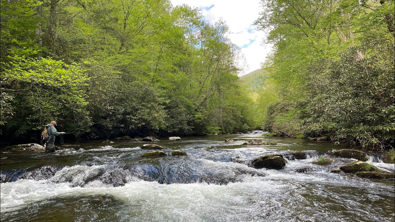 Flyfishing Deep Creek & Indian Creek - Great Smoky Mountain National Park | #fish #angler #gsmnp