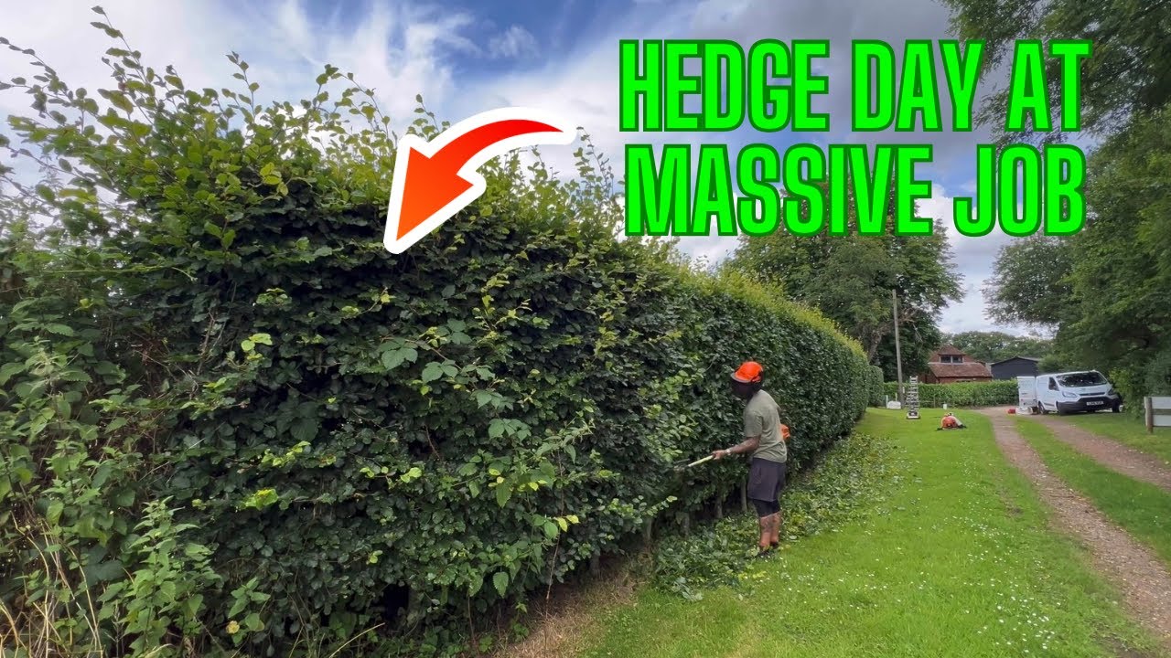 HEDGE & BORDER DAY AT MASSIVE 150 ACRE JOB!!!
