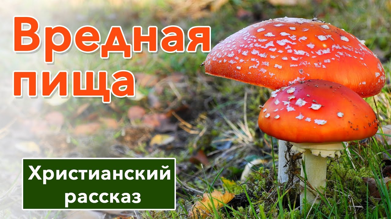 🔴 Вредная пища - ИНТЕРЕСНЫЙ ХРИСТИАНСКИЙ РАССКАЗ | Христианские рассказы