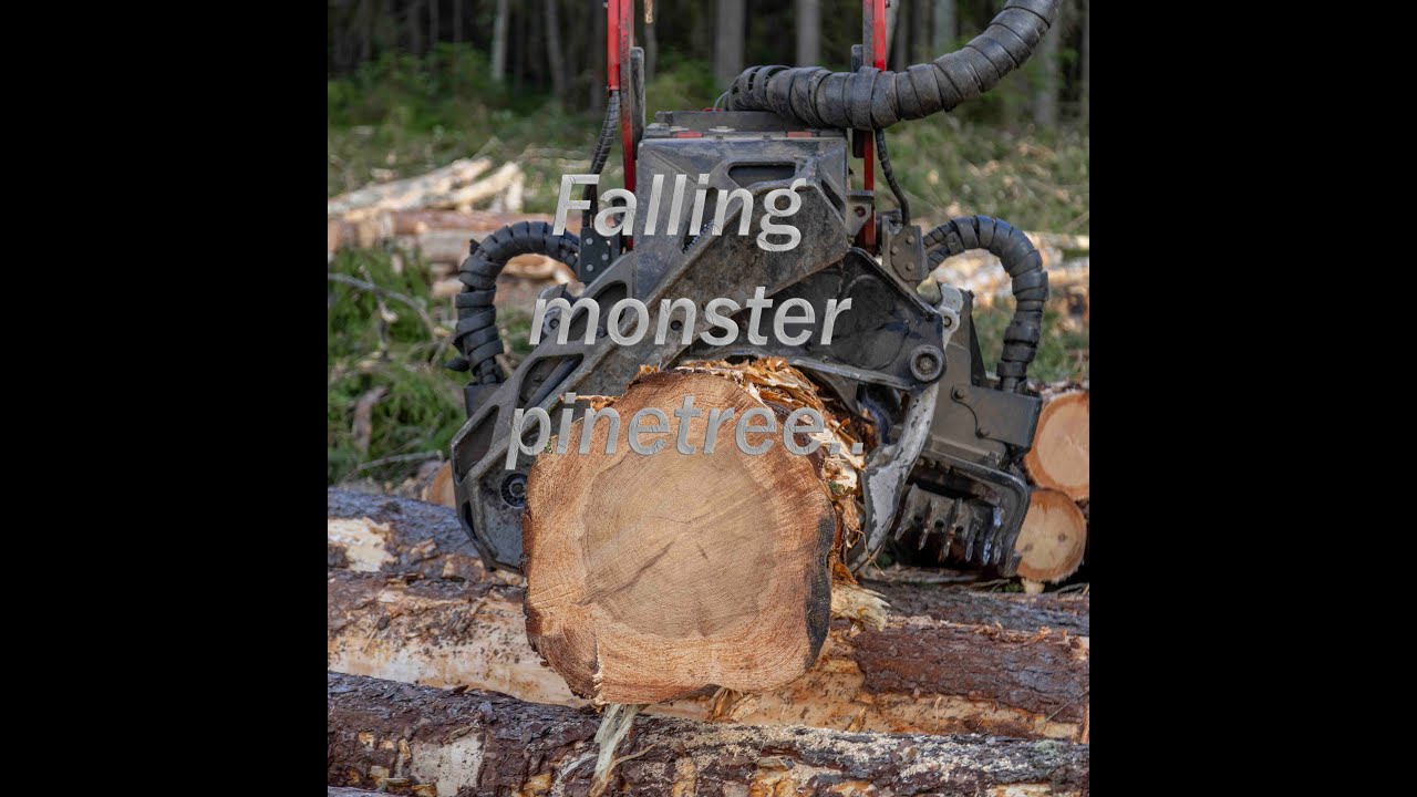 Falling monster pinetree.