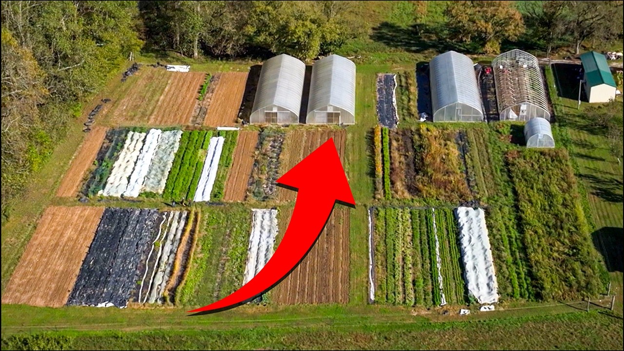 What Farm to Table Really Looks Like