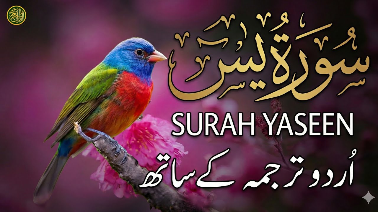 Surah Yaseen (سورة يس) - Beautiful Recitation with Urdu Translation | Qari Mansoor Ghaznavi | EPs 56