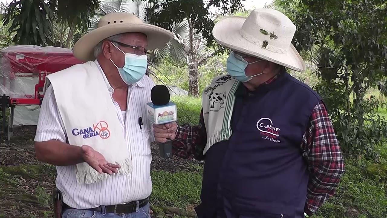 La finca como empresa