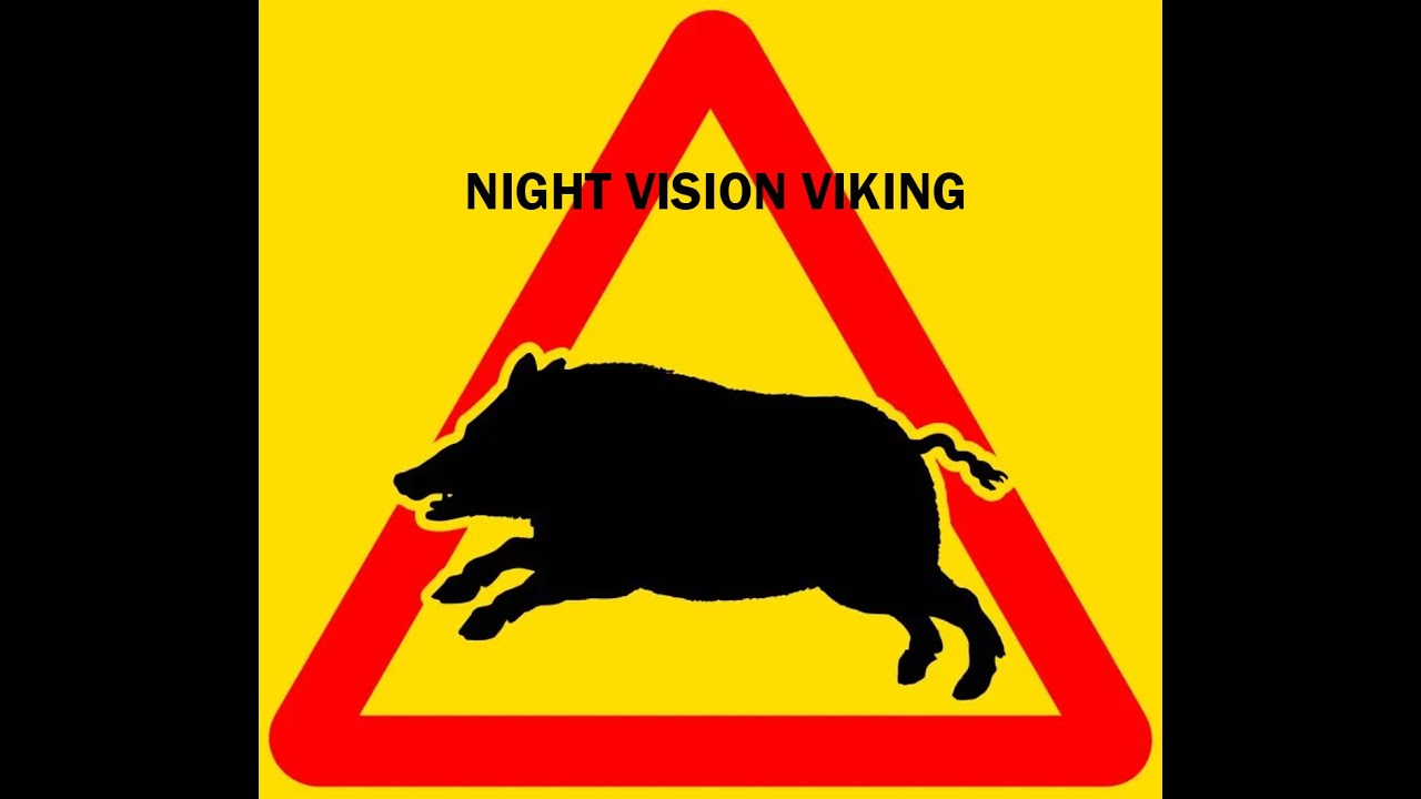 Thermion 2 XP50 Thermal Rifle Sight + Wild Boar in Wheat field