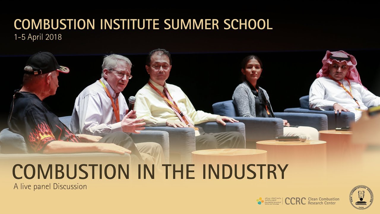 Combustion in the industry