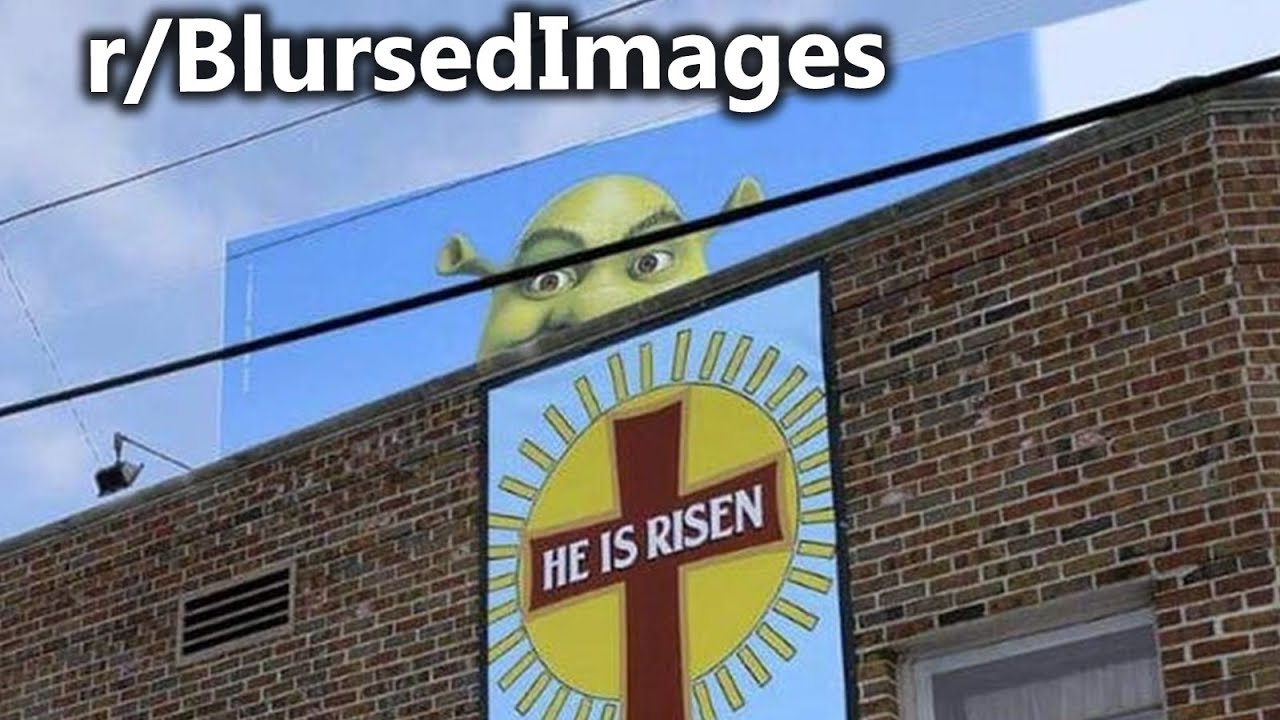 r/BlursedImages at 3am part 2