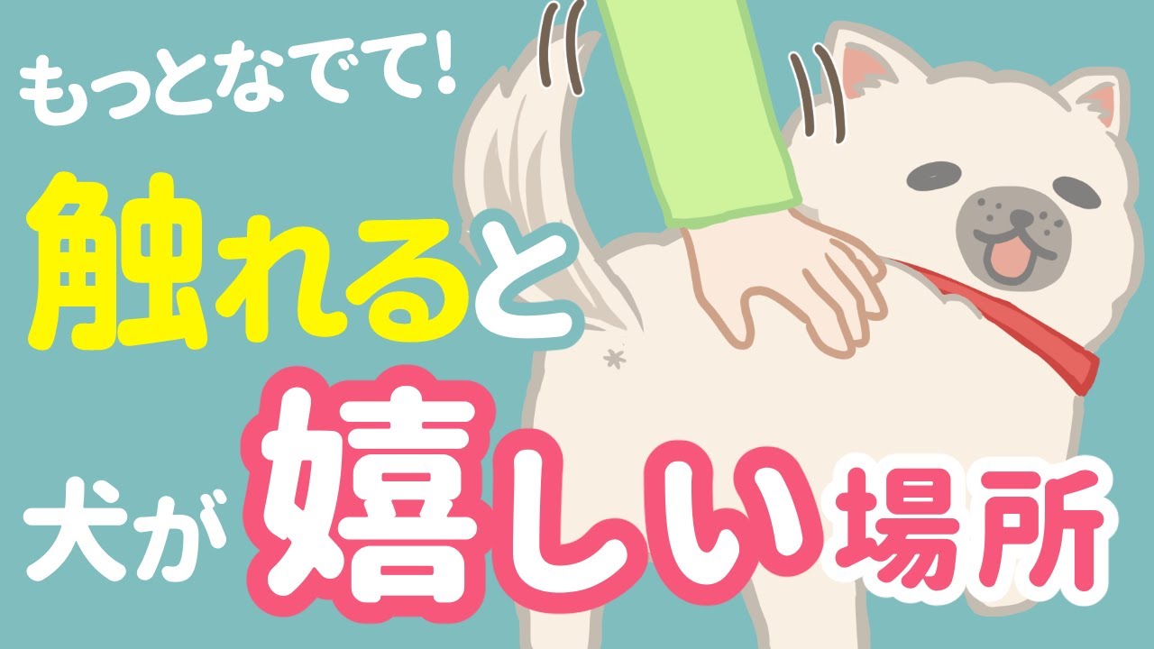 ココなでて♥犬がなでられると喜ぶ場所と嫌がる場所