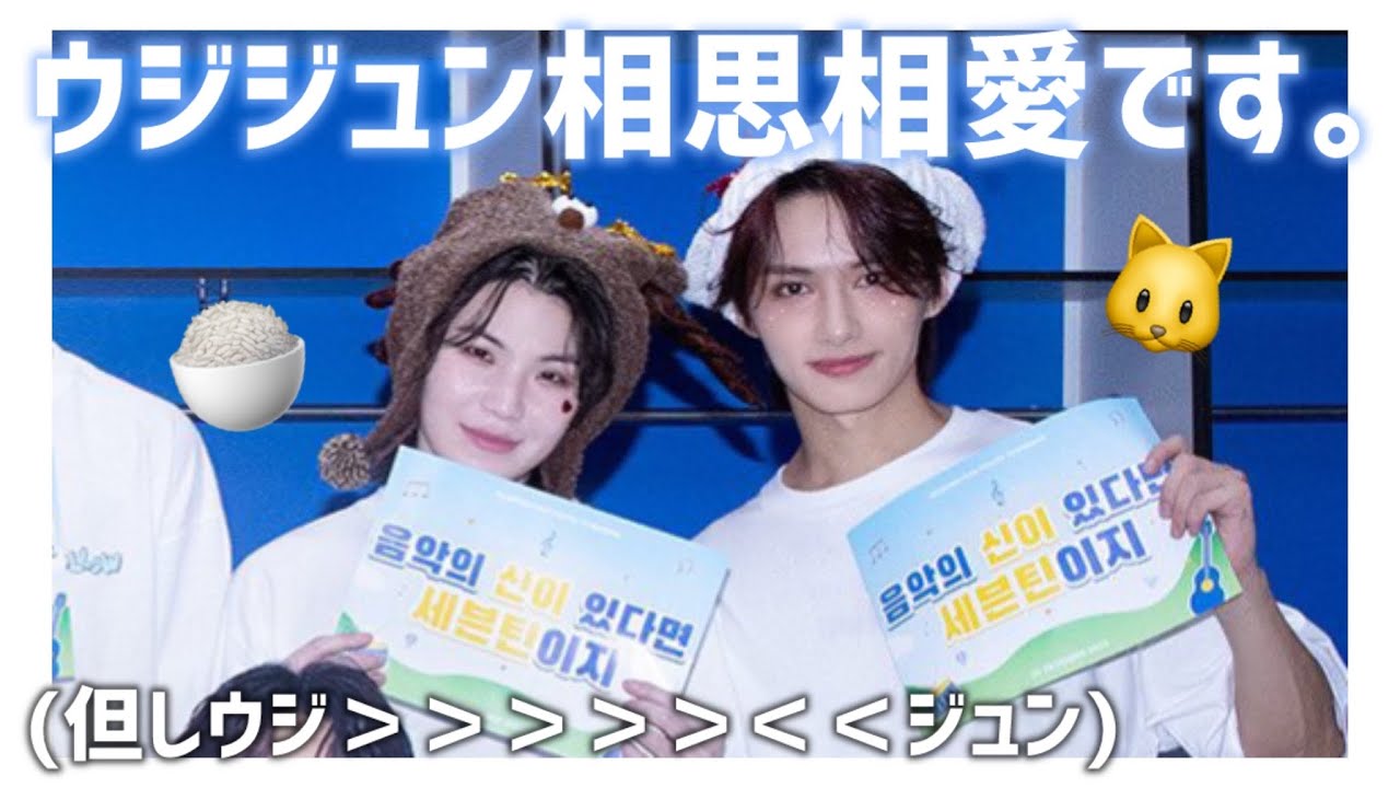 【SEVENTEEN】ジュンピとウジくん3