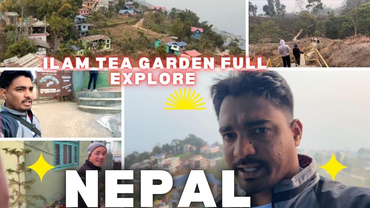 Exploring Ilam Nepal | Tea Garden & View Tower Top View 😍#youtube #viral #video #trending #minivlog 