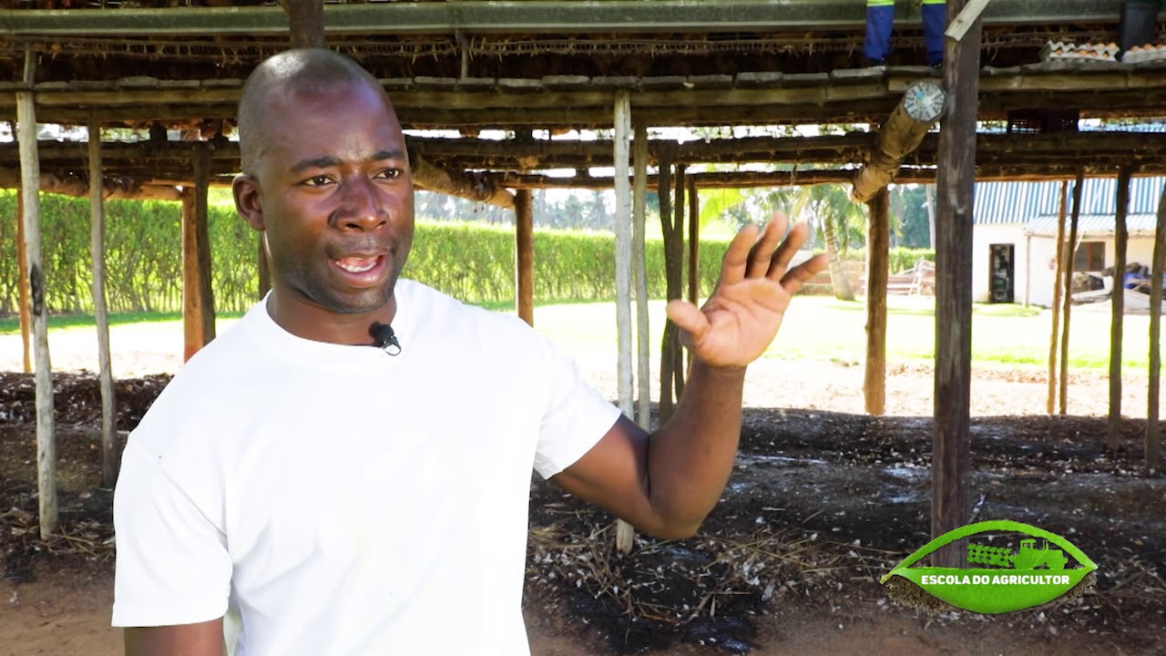 Eu Sou Empreendedor - Produção de Ovos  e hortícolas