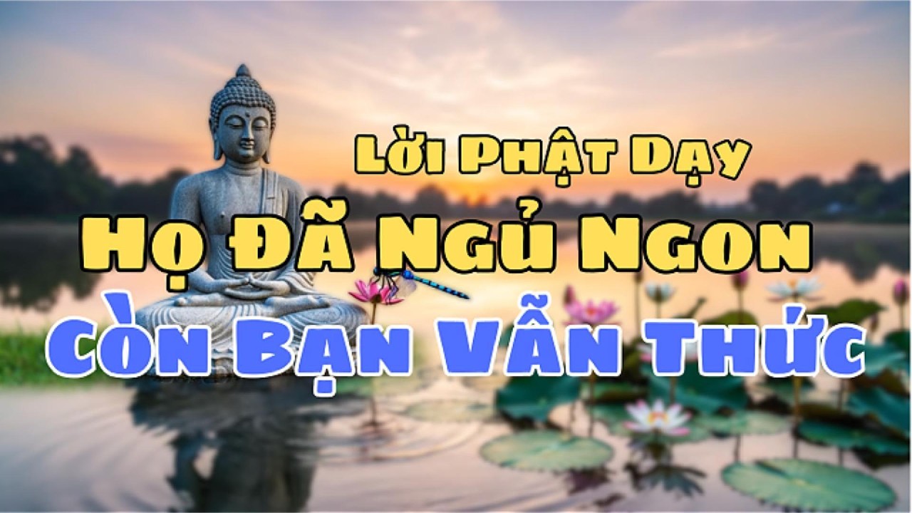 Họ Đã Ngủ Ngon Từ Lâu — Còn Bạn Vẫn Thức Giữ Nỗi Đau Họ Bỏ Lại, Lời Phật Dạy Về Bình An