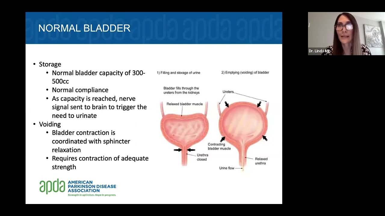 Understanding Bladder Issues in Parkinson's