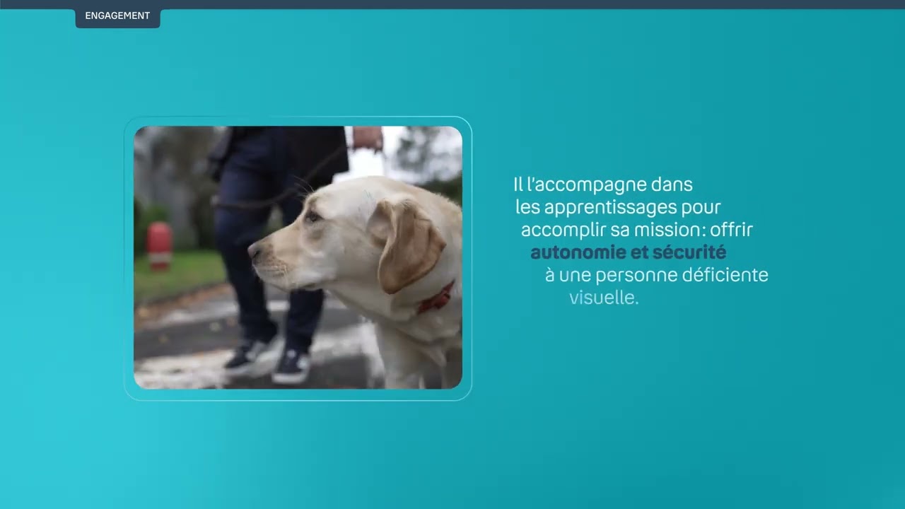 Le récap de novembre 2025 | Bouygues Telecom