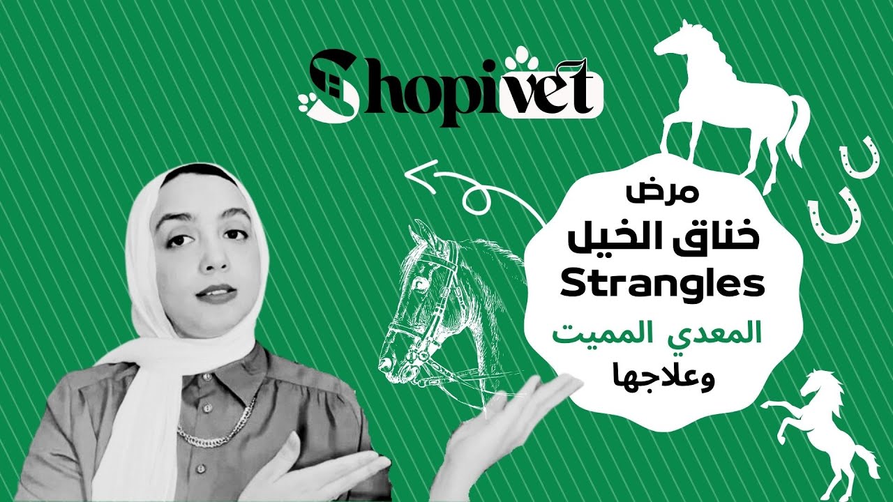 مرض خناق الخيل Strangles المعدي والمميت وطرق علاجة والوقاية منه | برنامج أفضل الأدوية