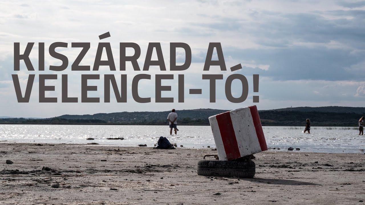 Megnéztük a KISZÁRADÓ Velencei-tavat - szomorú látvány fogadott