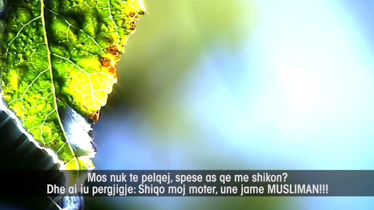Ngjarje e vertete