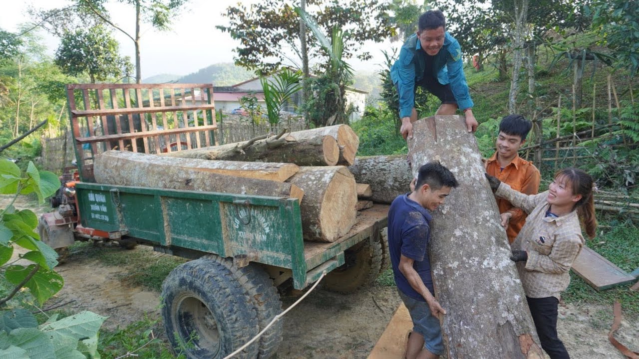 Extreme Dangerous Load Wood on The Car and Transport Skill Truck, Climbing Working Heavy Machines