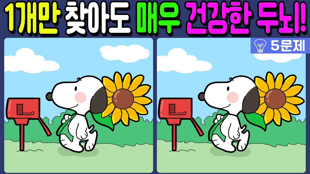 【다른그림찾기/치매예방】차이점 1개만 찾아도 매우 건강한 두뇌!🔥【 find difference / 두뇌운동/3개 찾기/5문제/#447】
