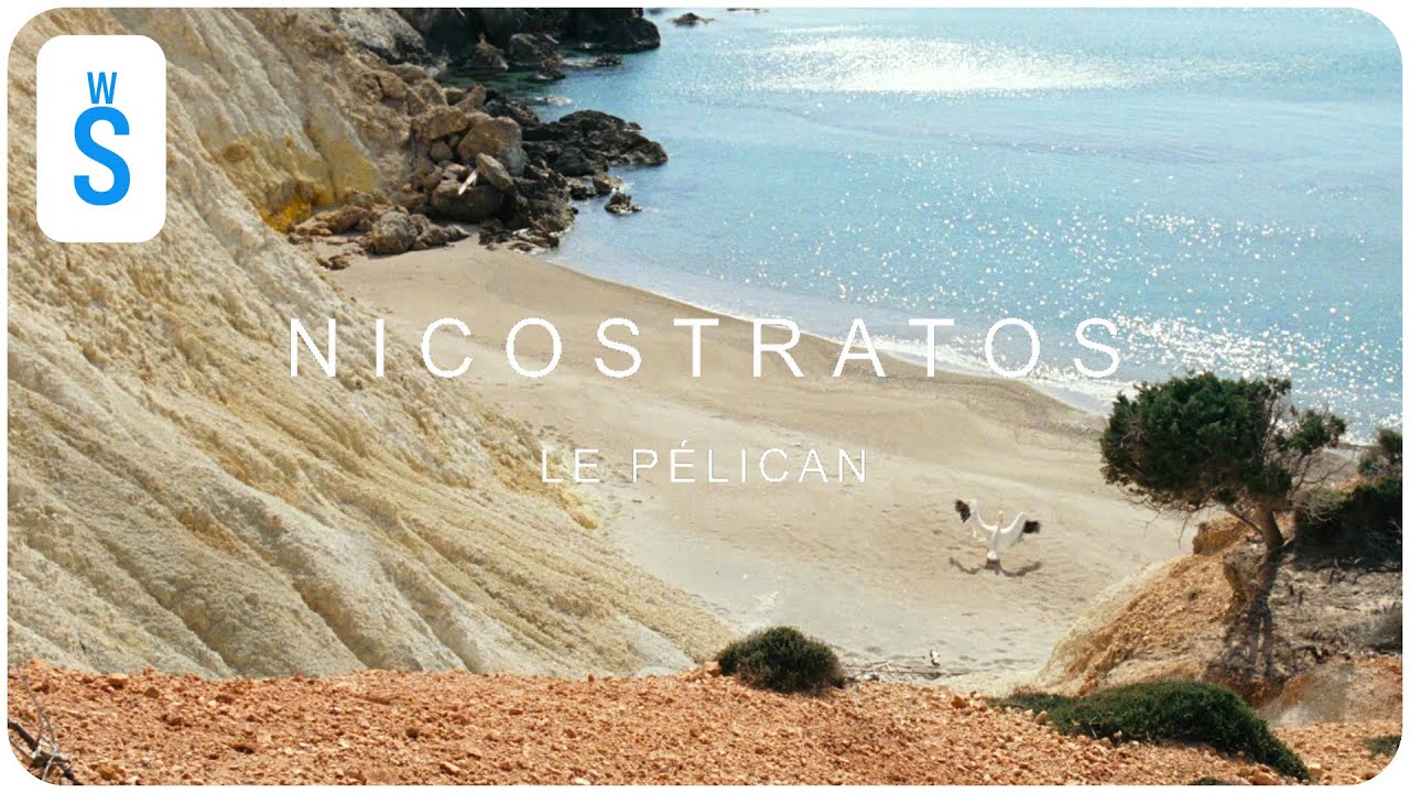 Nicostratos Le P&eacute;lican / Nicostratos the Pelican (2011) | Scene: Yanis discovers the love his father