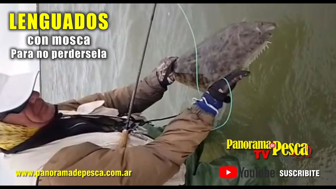 Lenguados con Mosca en Mar Chiquita - Fly Cast - Una experiencia unica