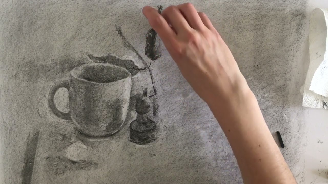 Vine Charcoal Value Drawing