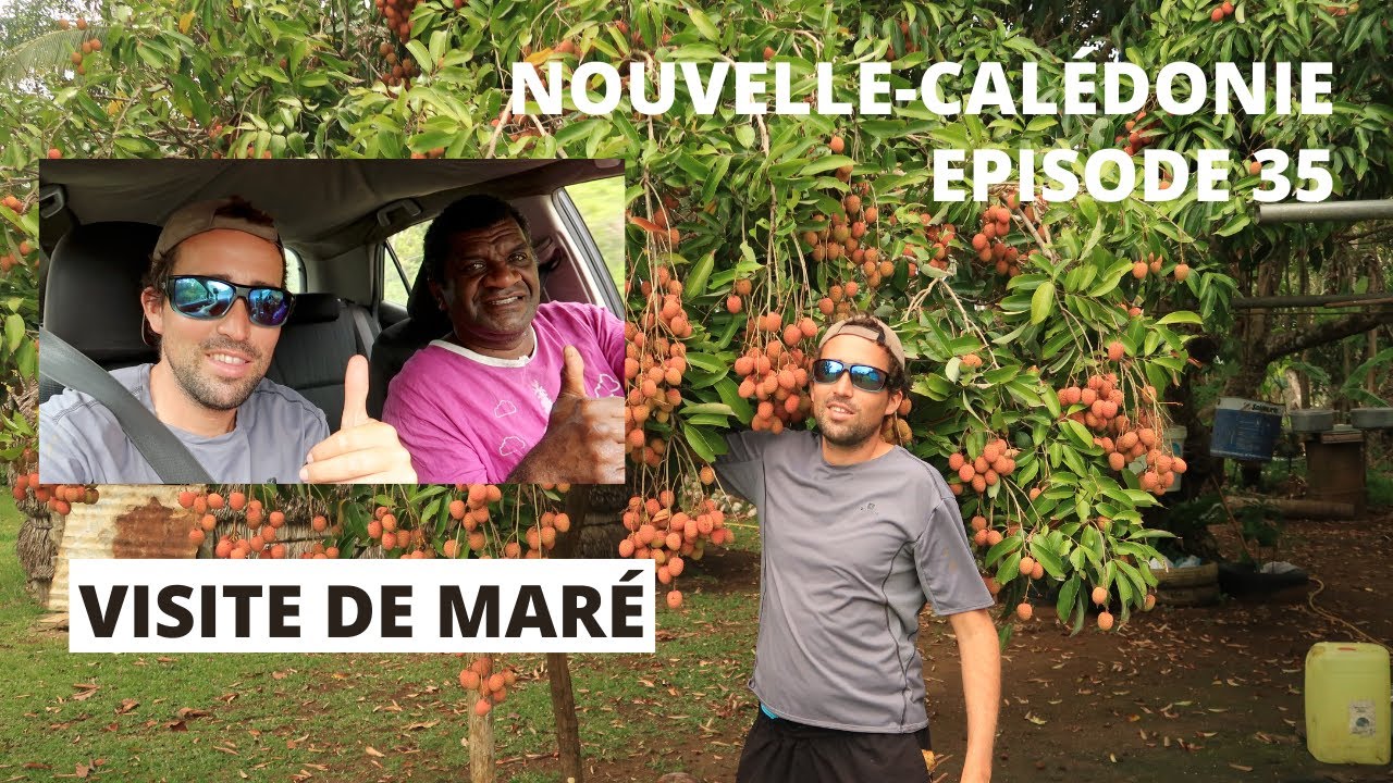 JE VISITE MARÉ AVEC UN KANAK (NOUVELLE-CALÉDONIE)
