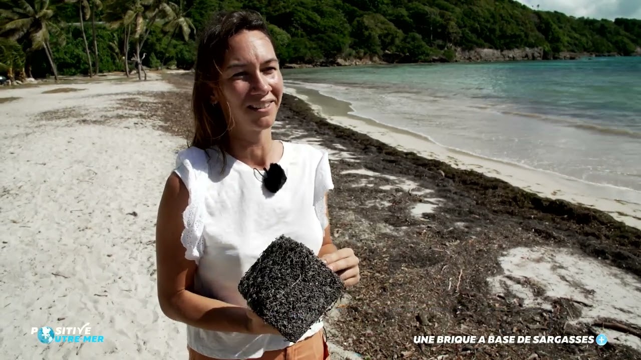 Positive Outre-mer : Une brique à base de sargasses
