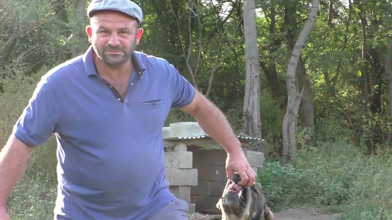 Питомник Арсена