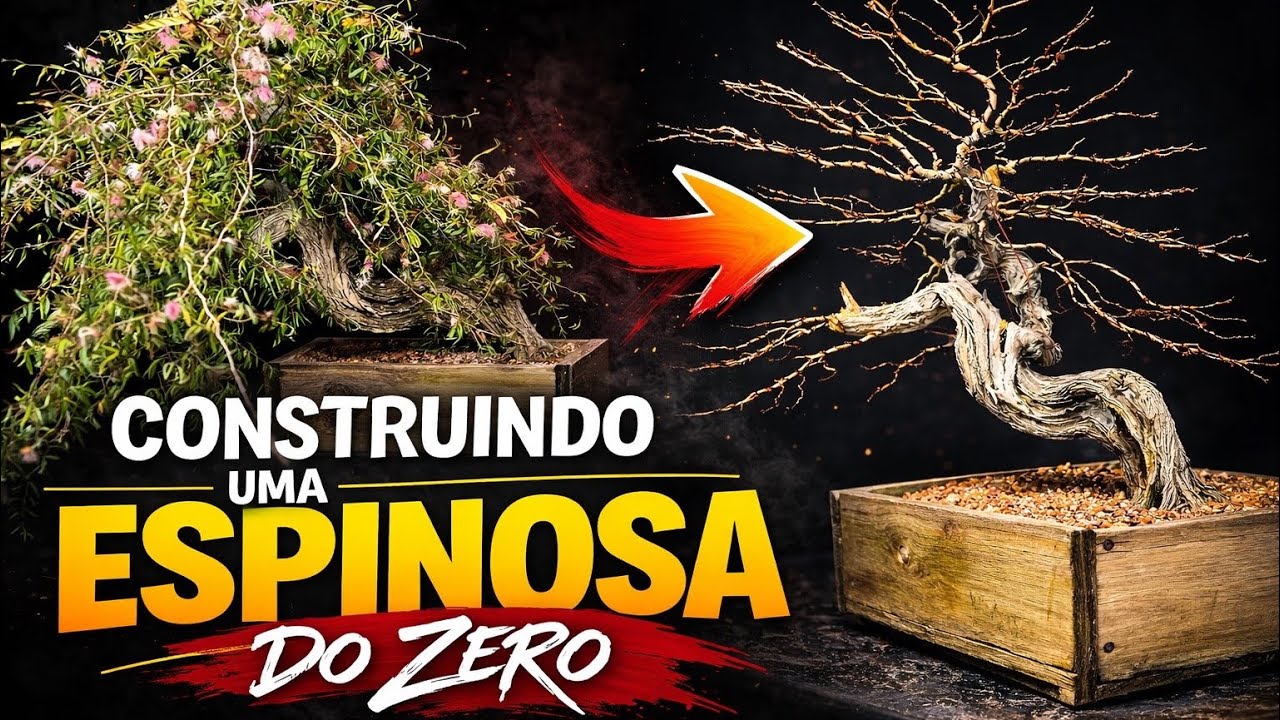 YAMATA: O BONSAI DE ESPINOSA QUE NASCEU DE UMA COBRA