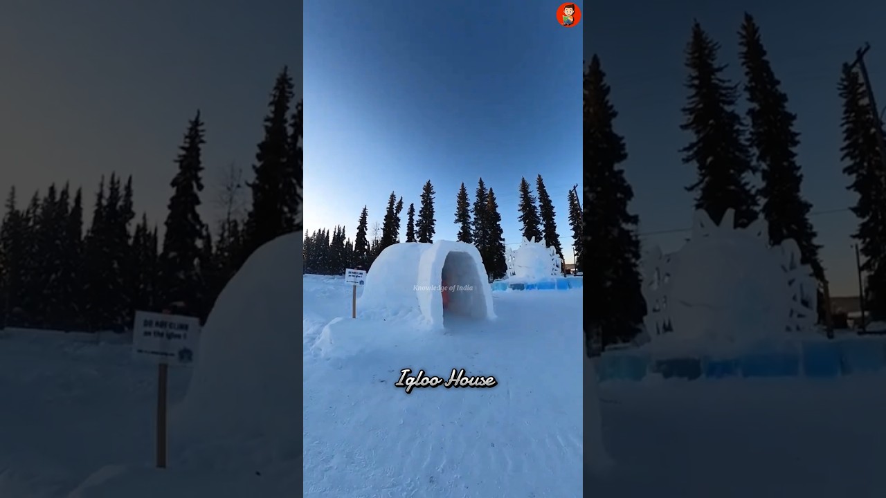 How Does An Igloo House Work..?