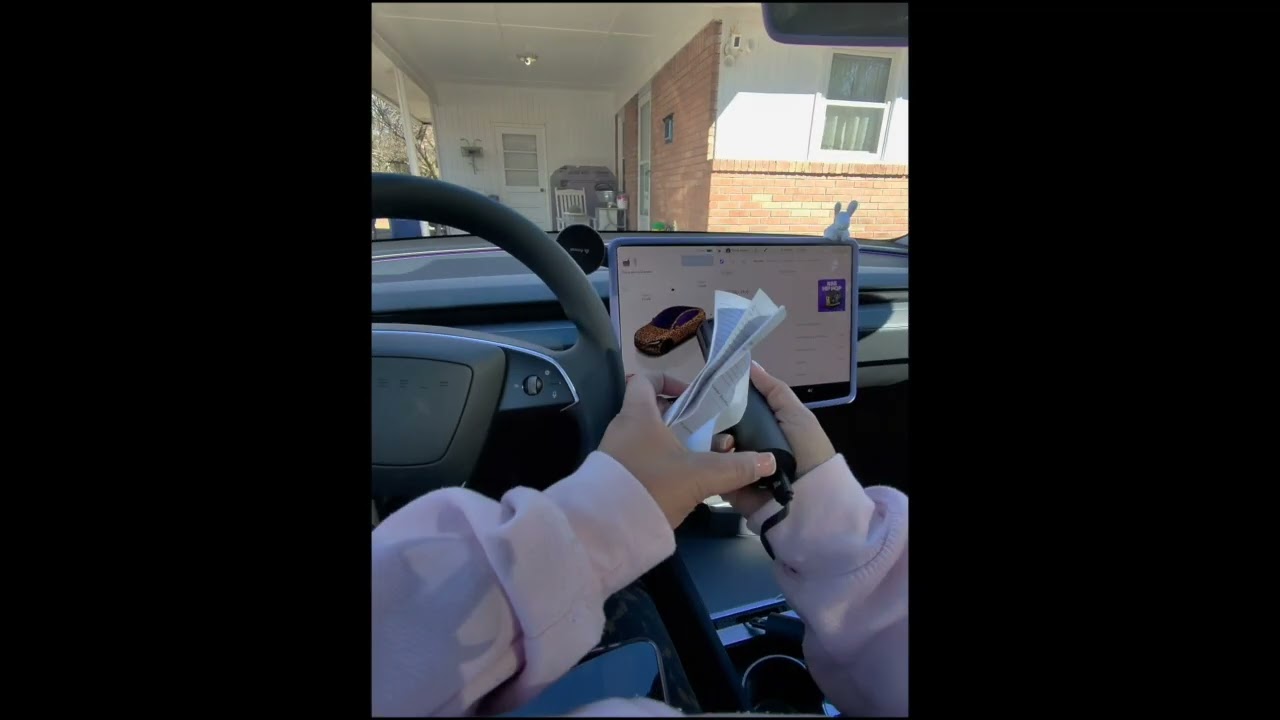 Tesla Caraoke Microphone Setup