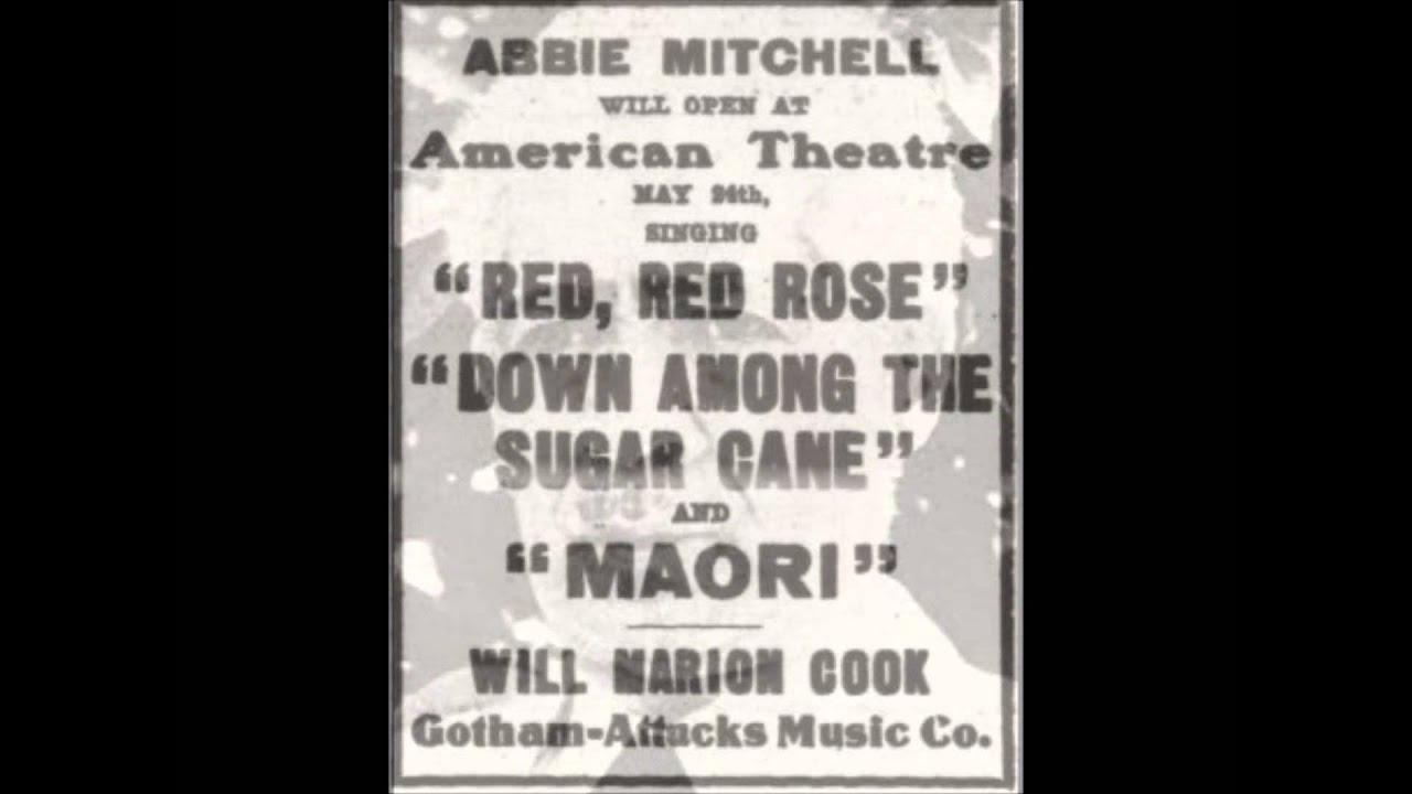 Will Marion Cook - True American Music Genius