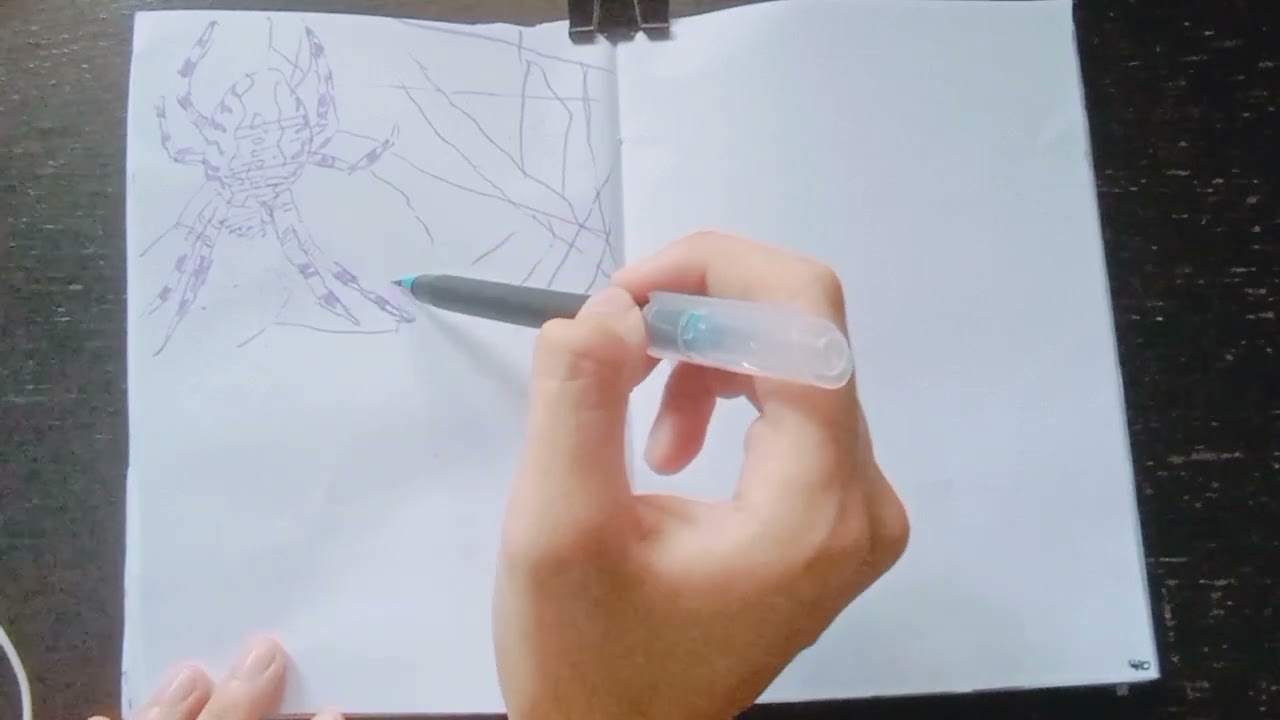 Study sketch some apiders with me | 40 mins | no talking or background music