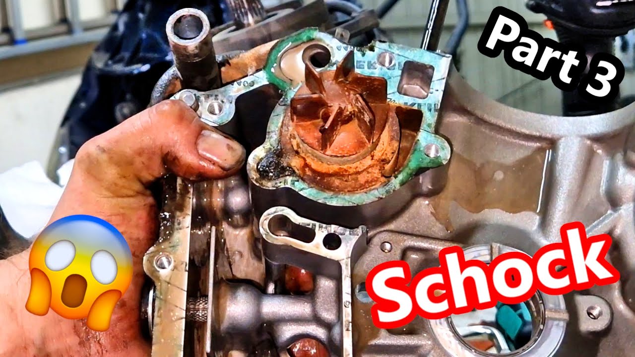 Motorblock zerlegen - Wasserpumpe undicht / Aprilia Leonardo 150 Rotax 1998 Part 3