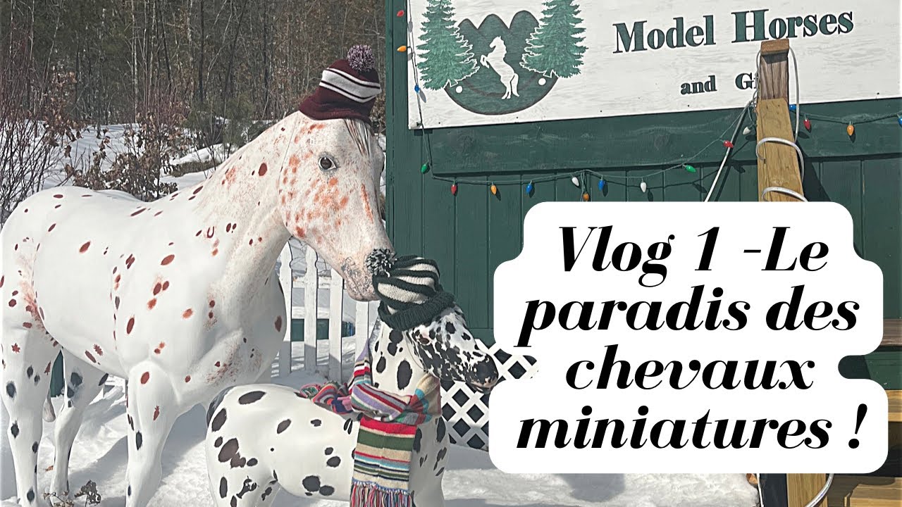 Vlog 1 – Ma visite chez Triple Mountain Horse 🐎 | Le paradis des chevaux miniatures !