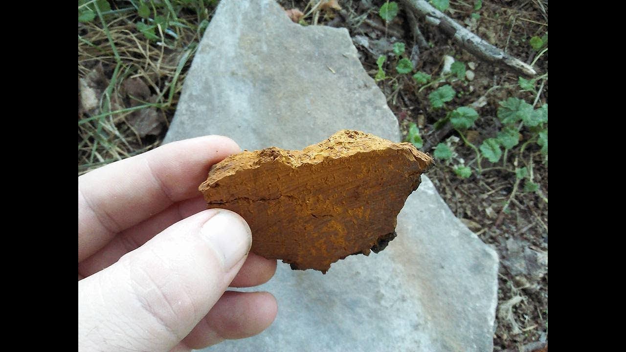 Rudiger Roll Chaga Fungus - Fire Roll Friction Fire Fungus - Primitive - Rudiger Roll Origins